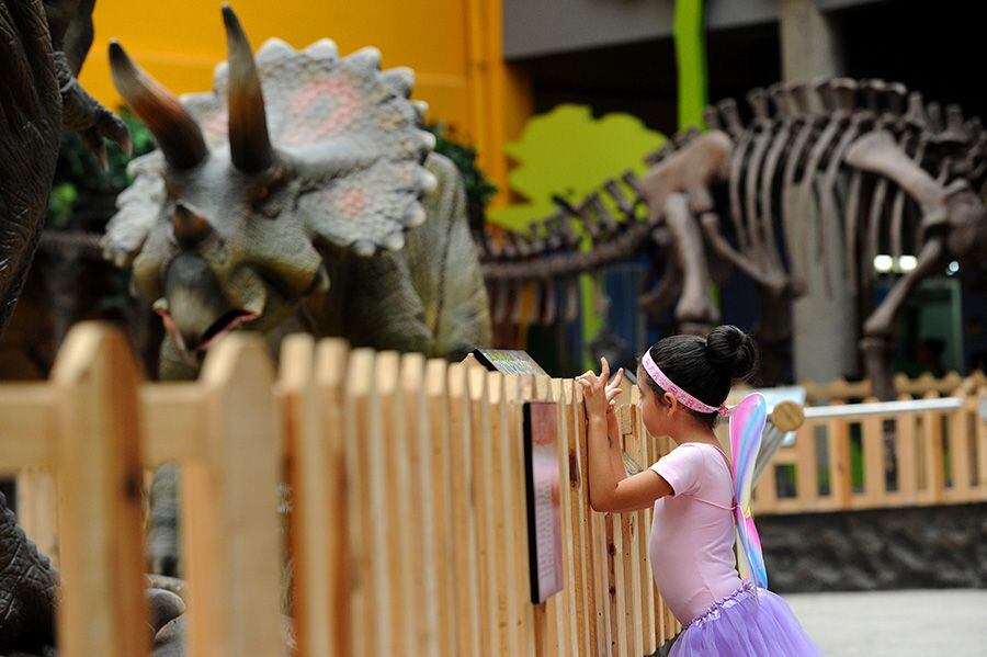 El Museo de los Niños ya ha presentado en años anteriores a los dinosaurios mecánicos, siendo uno de sus atractivos para la temporada de vacaciones. 