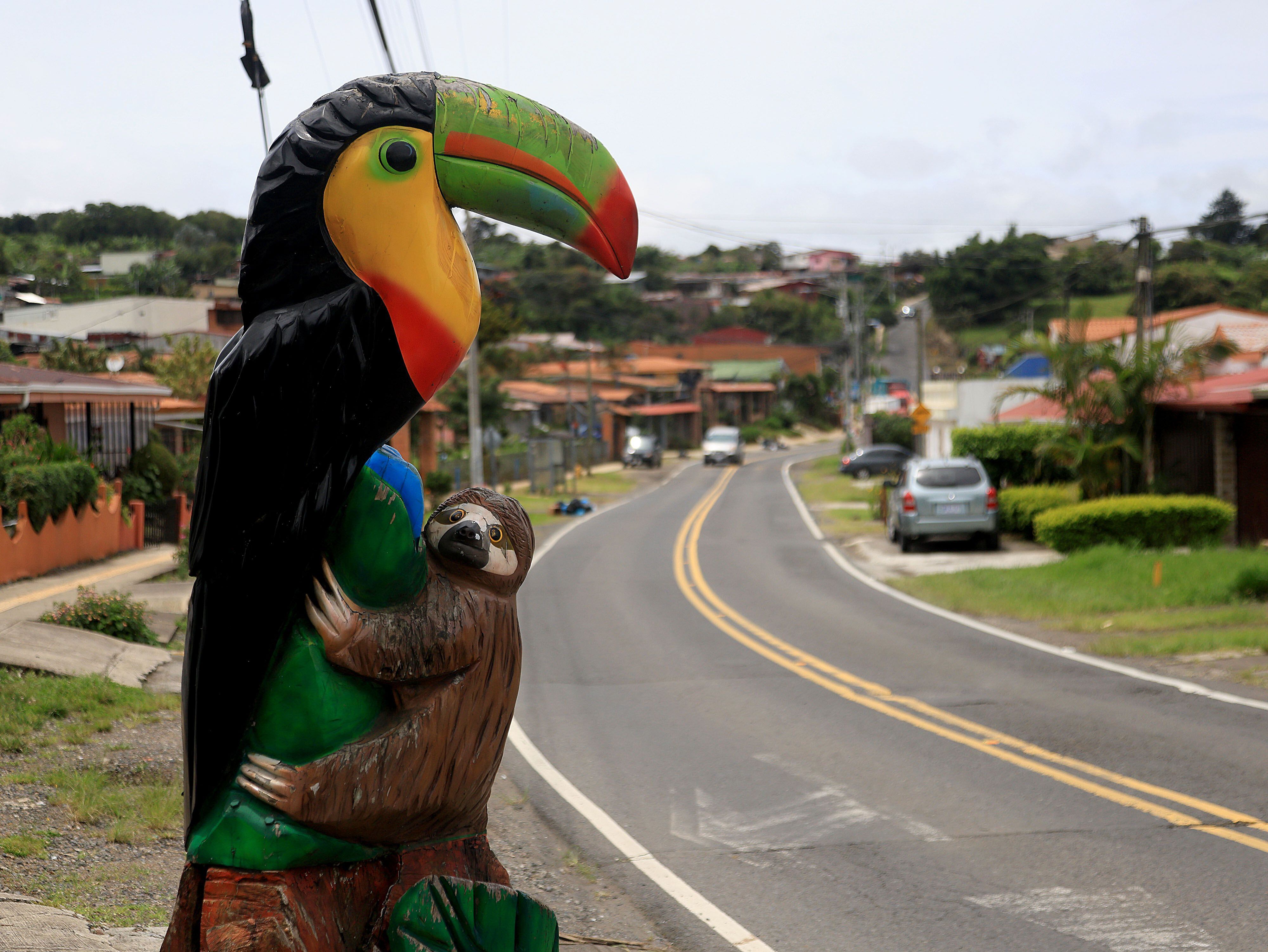 Este tucán se ubica en la entrada que lo llevará a Toucan Rescue Ranch. 