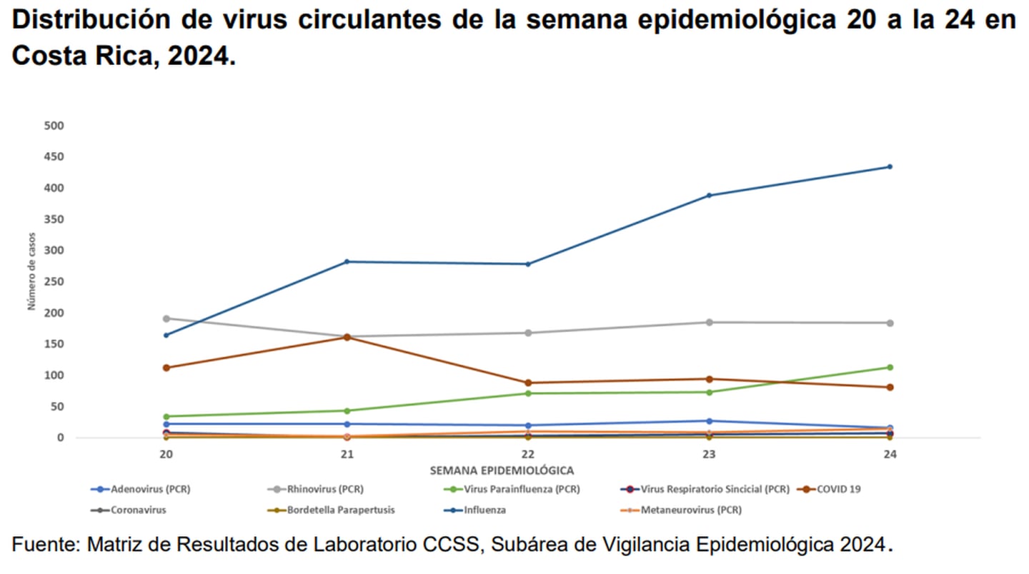 Esta es la circulación de los virus en las últimas semanas de 2024.

Gráfico: Ministerio de Salud