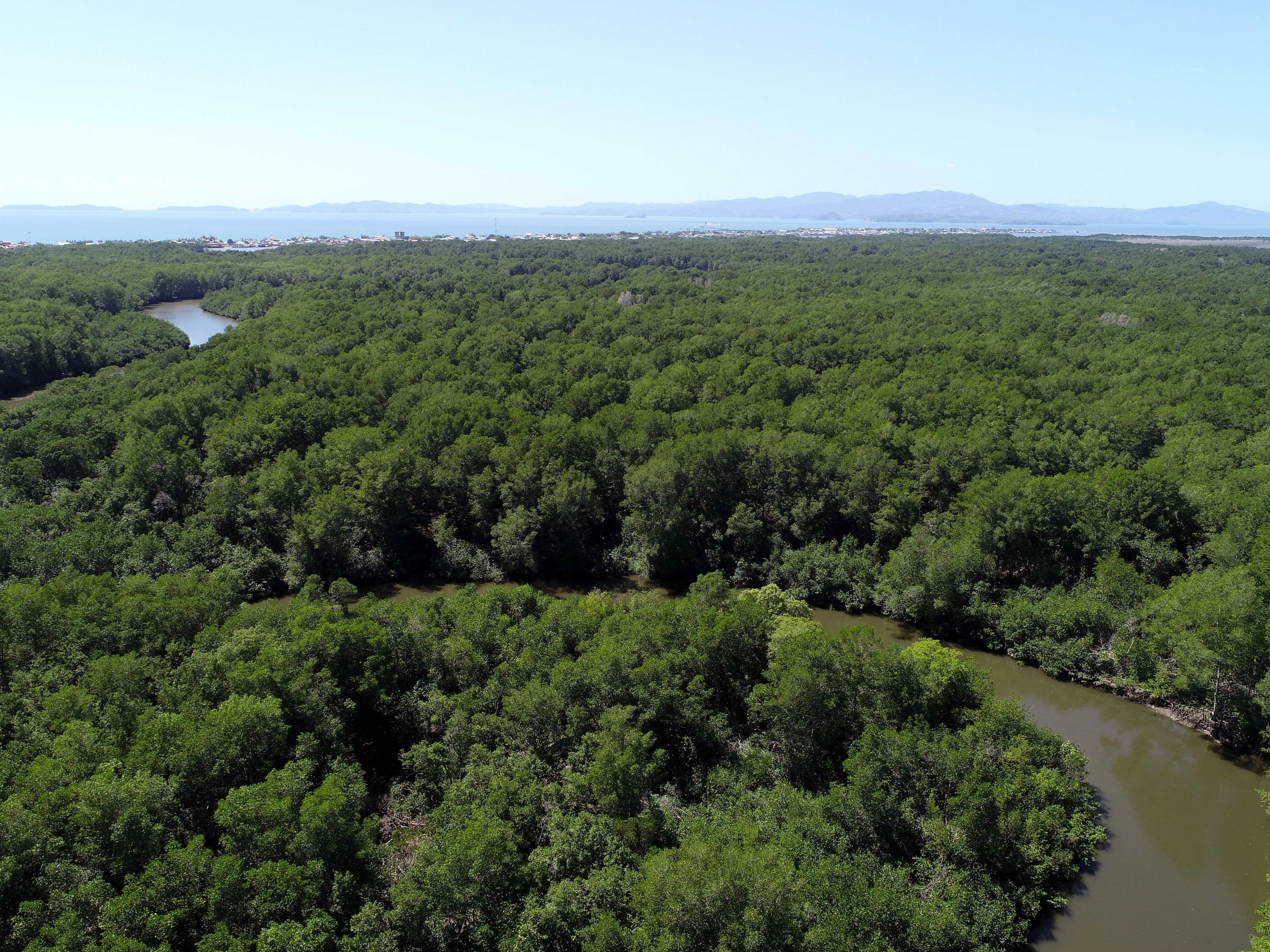 Parte del manglar en el estero de Puntarenas (ciudad se ve al fondo). En Costa Rica, la cobertura de manglar rondaba las 52.802 hectáreas (alrededor de 1% del territorio nacional) al 2021. Fotografía: Lenin Corrales Chaves para LN.
