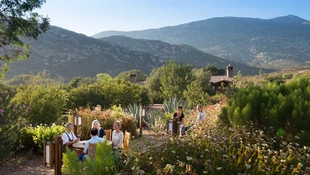 Deborah Szekely, fundadora de Rancho La Puerta en Baja California, comparte sus secretos para una vida longeva y saludable.