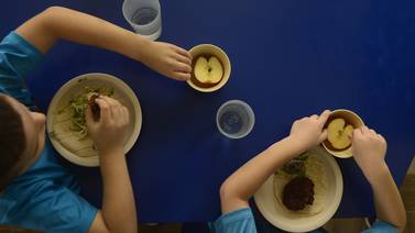 País desconoce estado nutricional de la niñez