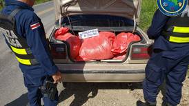 Policía intercepta 245 kilos de cianuro procedentes de Nicaragua hacia Crucitas