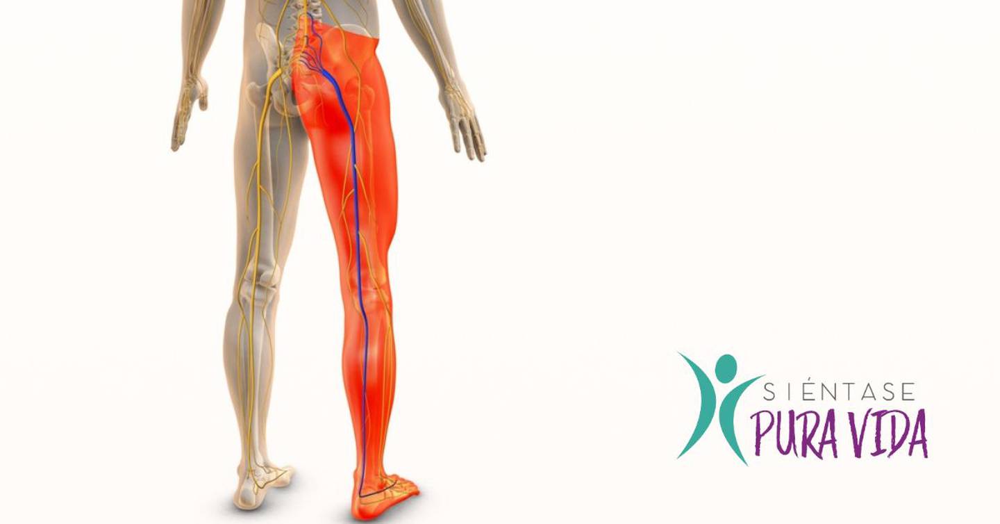 El nervio ciático va desde la zona lumbar y recorre las piernas.

Imagen: Shutterstock