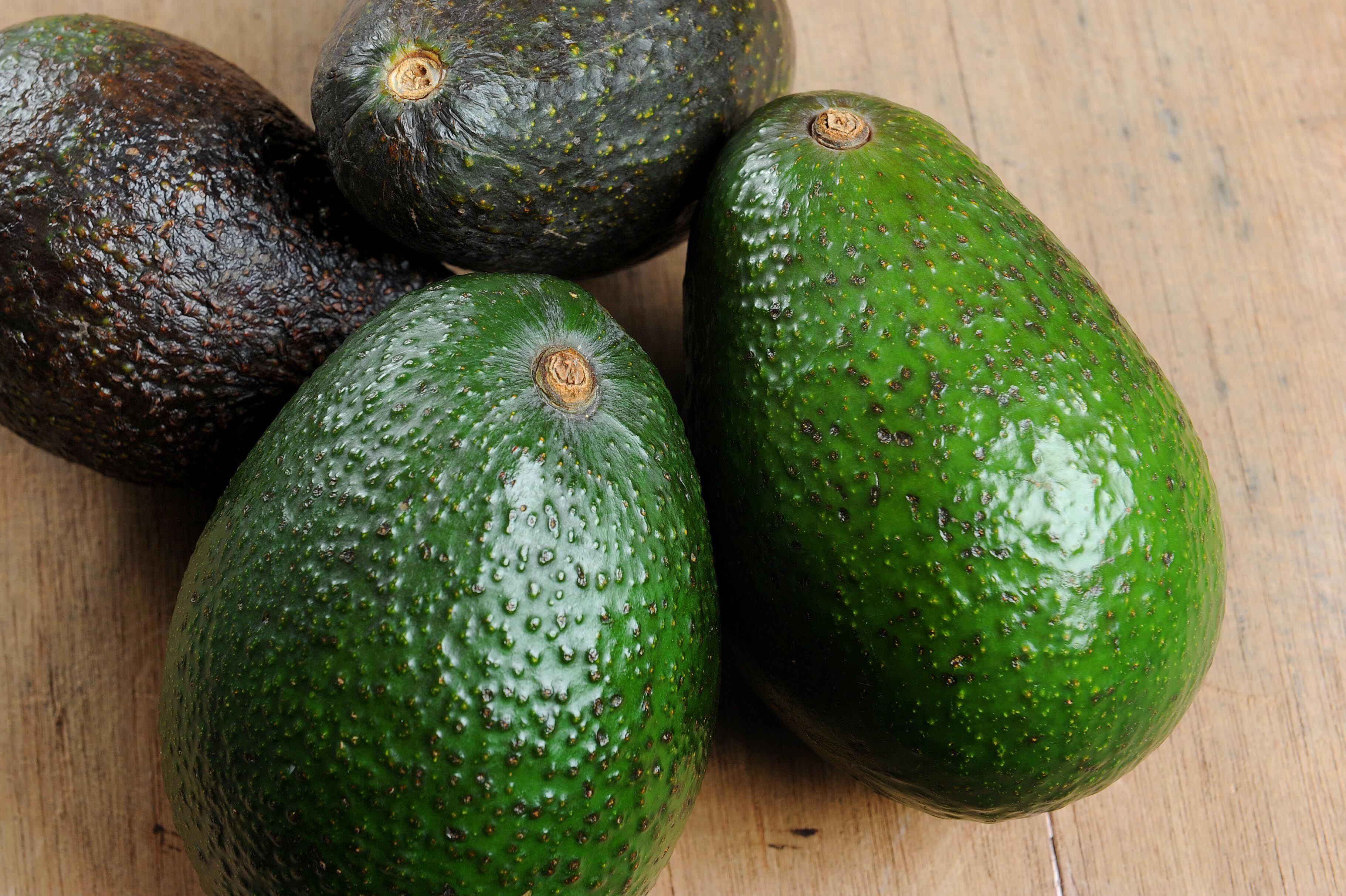 Comex espera resolución de OMC sobre aguacate para finales del 2020 | La  Nación