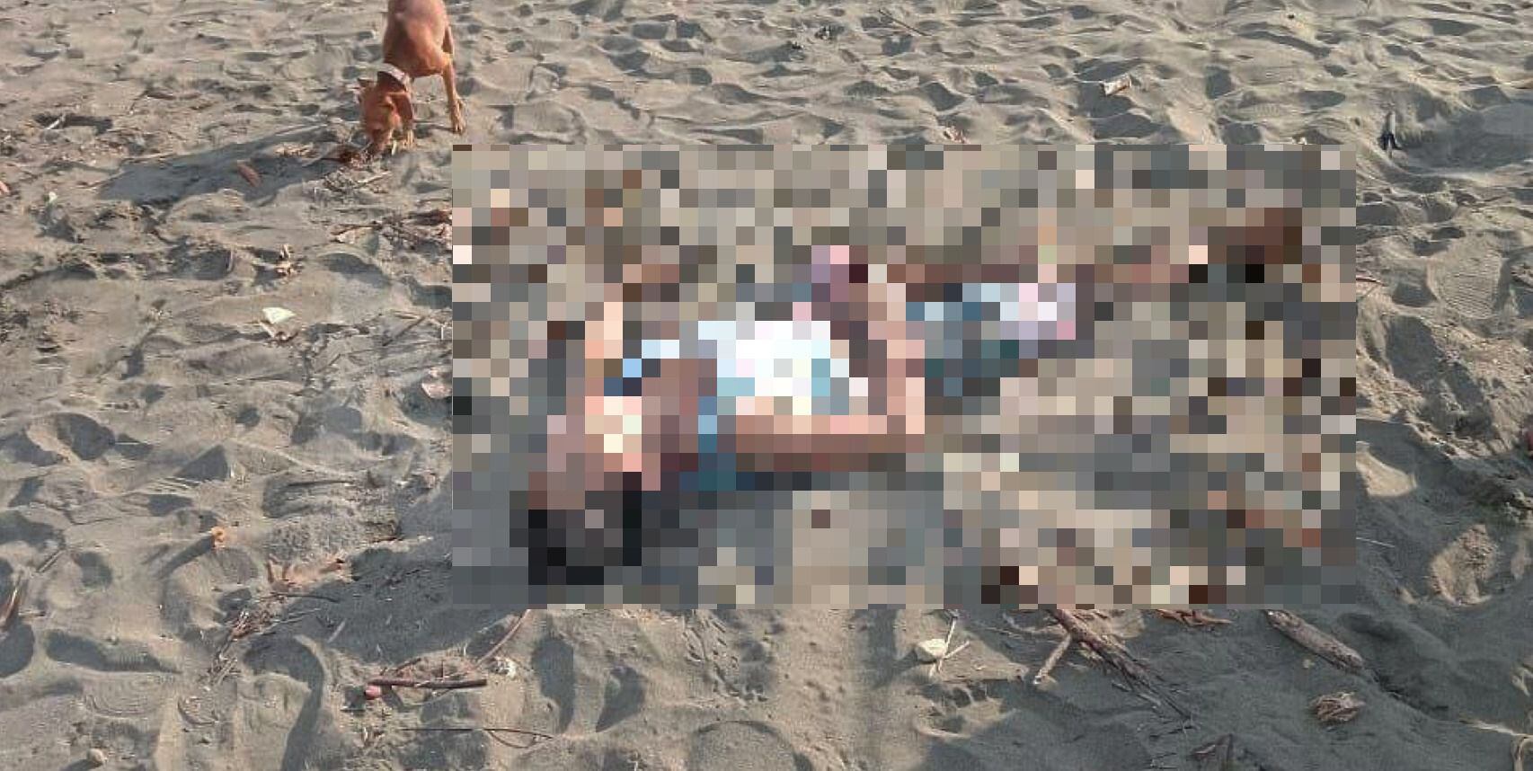 Un hombre de 26 años murió baleado en Playa Cocal de Quepos, en Puntarenas.