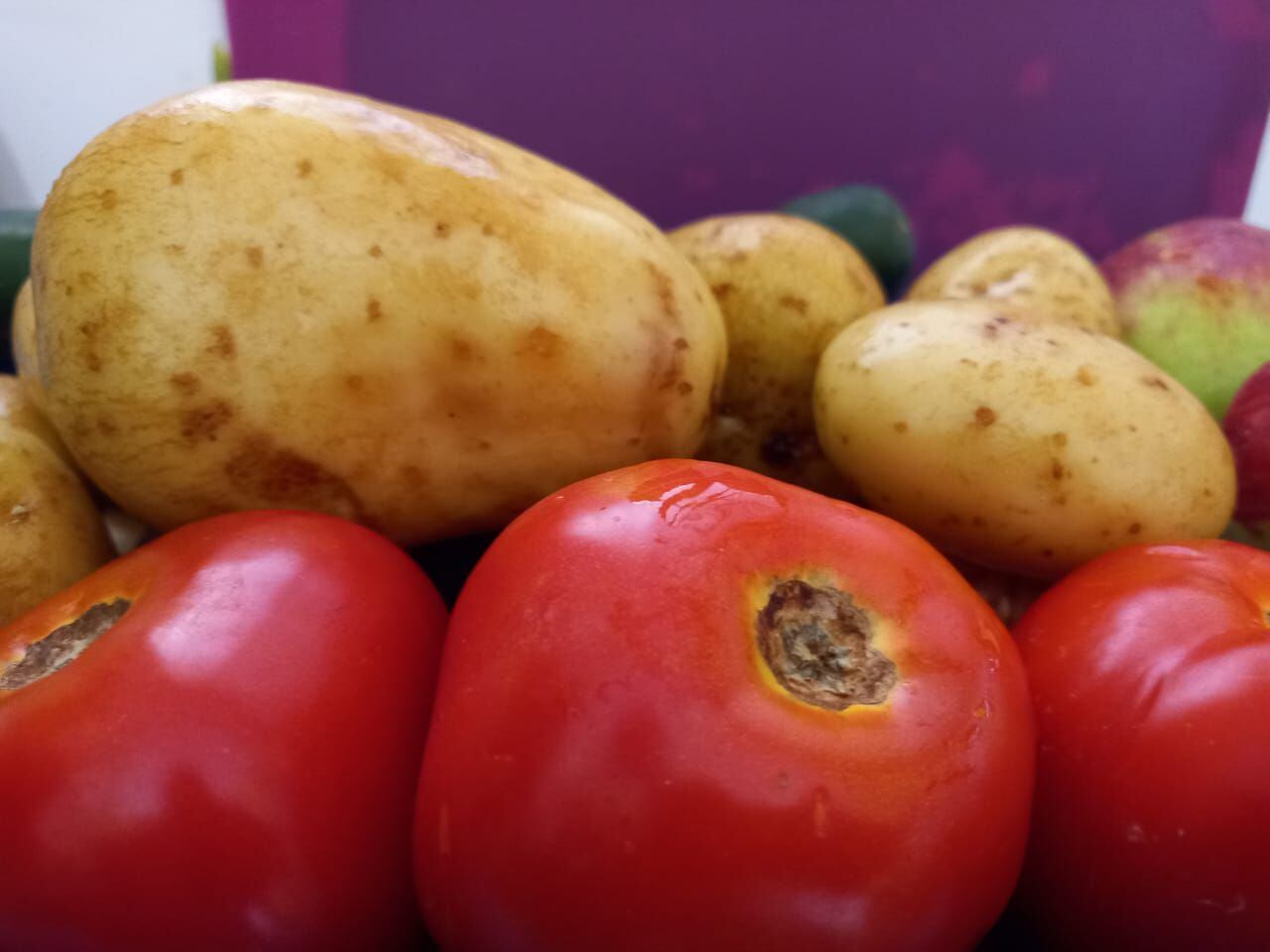 El tomate y la papa son parte de los alimentos, importantes para los hogares, que han tenido importantes aumentos en los últimos 12 meses.