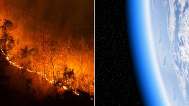 Incendios forestales: Descubren su efecto desconocido en la capa de ozono