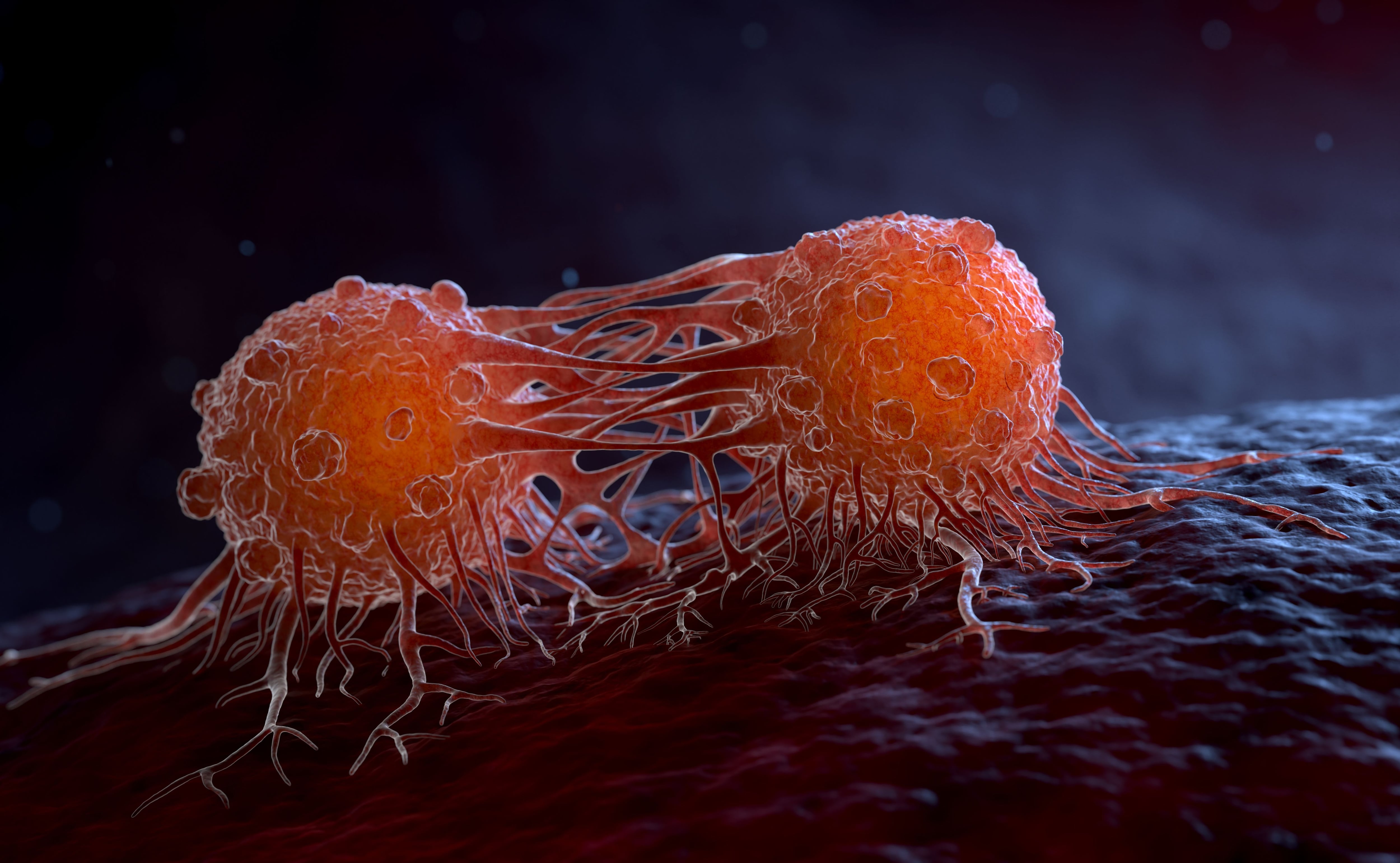 Las células cancerosas tienen la habilidad de migrar a otros órganos o localizaciones del cuerpo. ¿Cómo lo hacen? Un video lo explica.