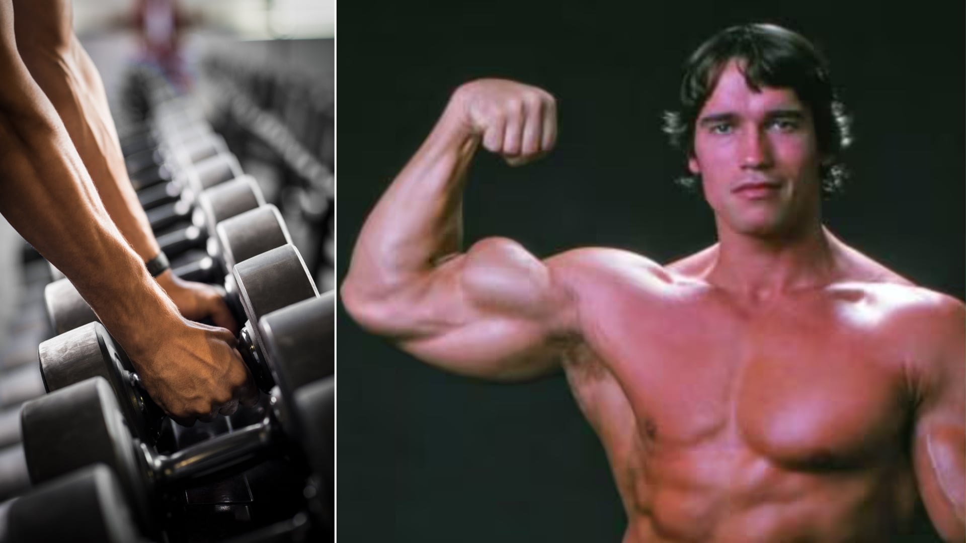 El método 5x5, la regla de oro de Arnold Schwarzenegger para ganar masa muscular