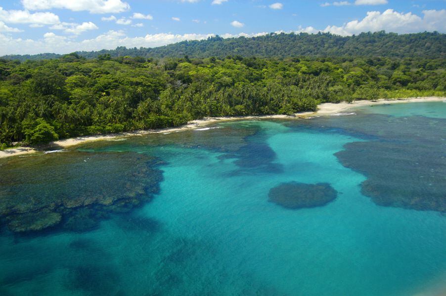 Vista de la Zona MarítimoTerrestre del Refugio Nacional de Vida Silvestre Gandoca-Manzanillo, localizado en Talamanca, Limón. Foto: Cortesía de la Asociación Costa Rica por Siempre
