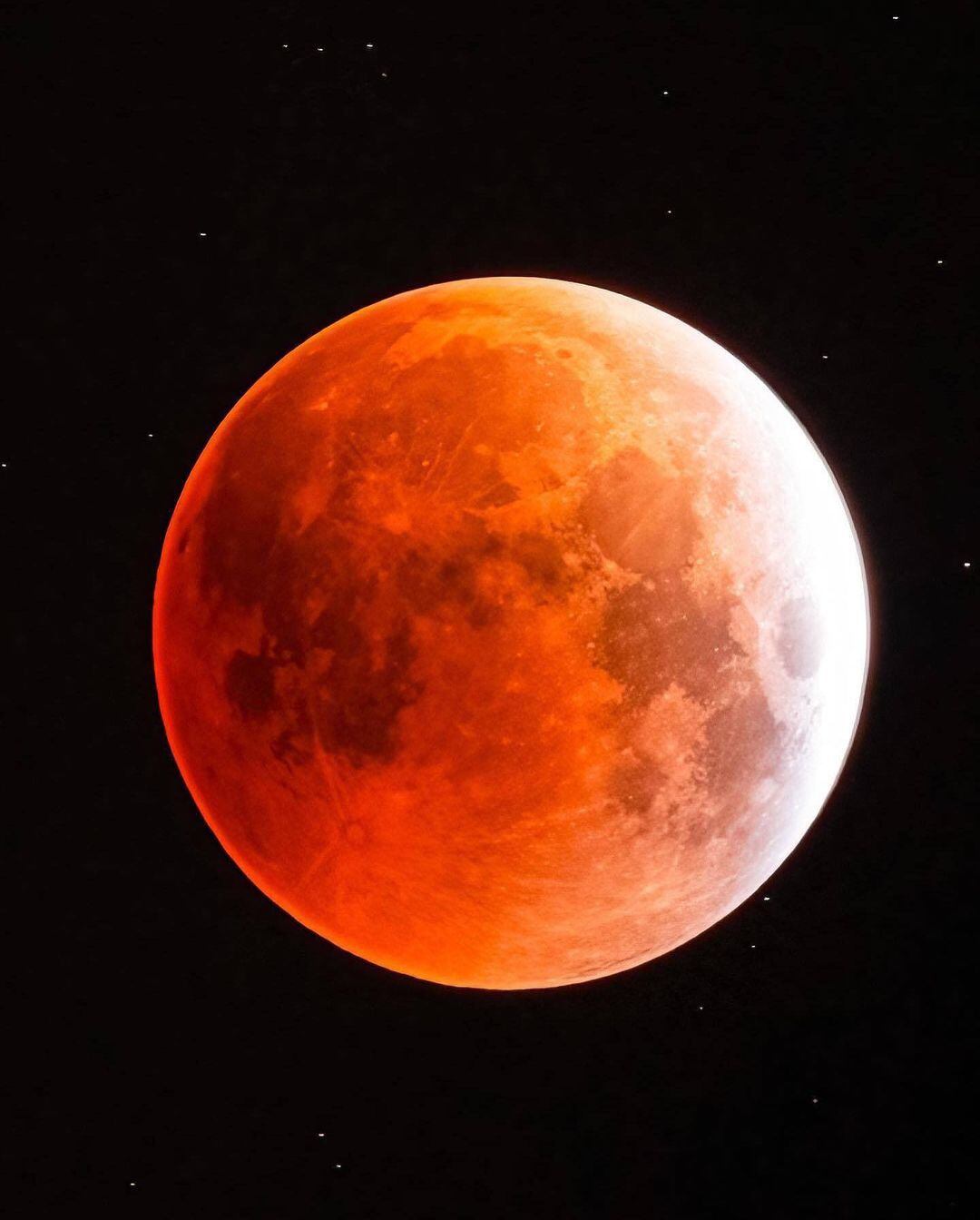 Este martes 8 de noviembre se registró un eclipse lunar total, un fenómeno astronómico conocido también como 'Luna de sangre'. 