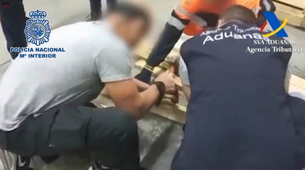 La cocaína interceptada en el puerto de Algeciras, en España, iba oculta dentro de tarimas con piña procedente de Costa Rica. El cargamento fue detectado el 8 de agosto del 2022. Foto: Policía Nacional de España