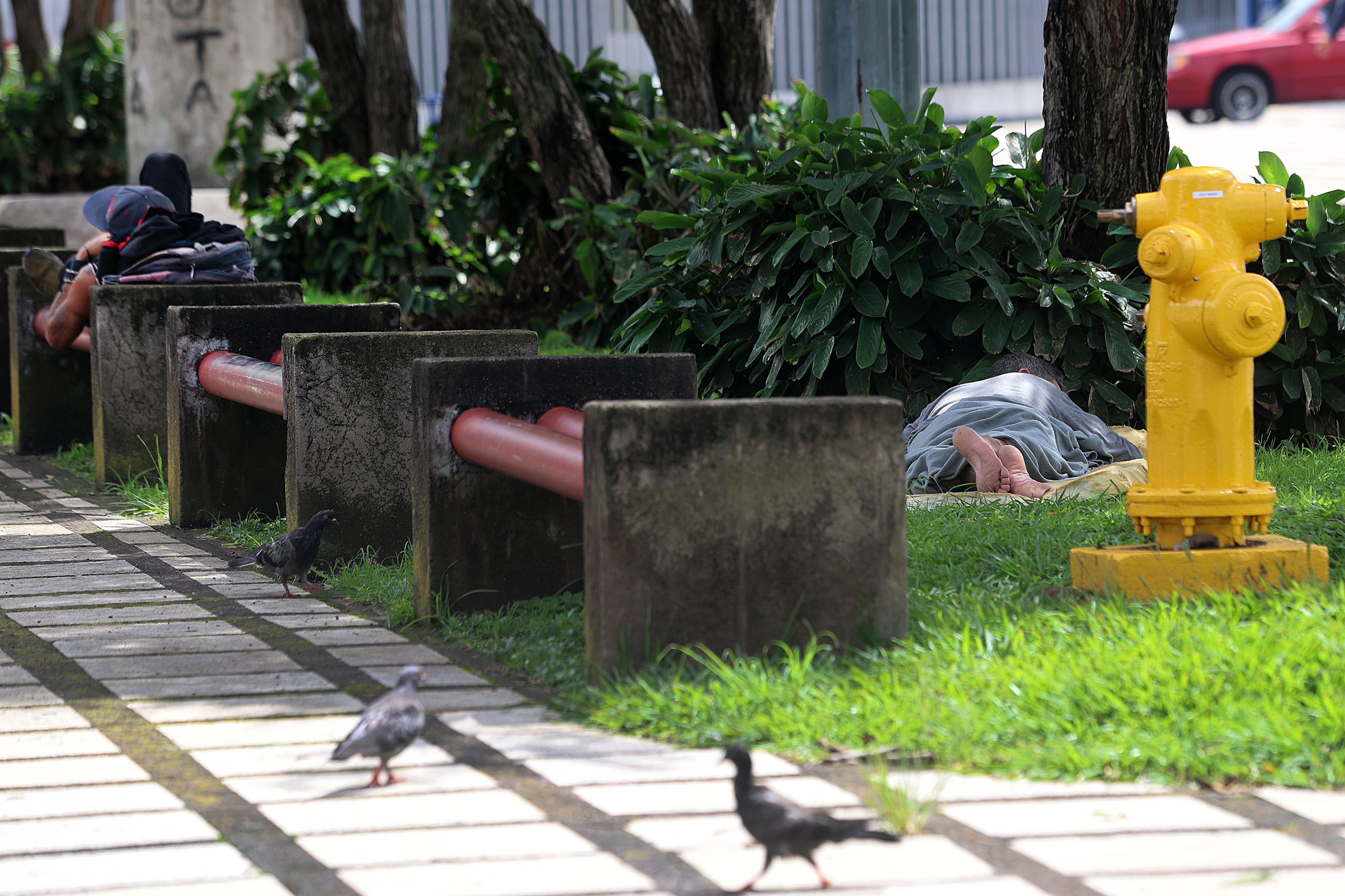 San José, parque Cañas. Un habitante de la calle duerme en el zacate del parque público. 